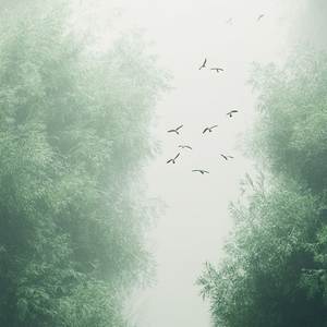 Abondance et Prospérité (Forest)