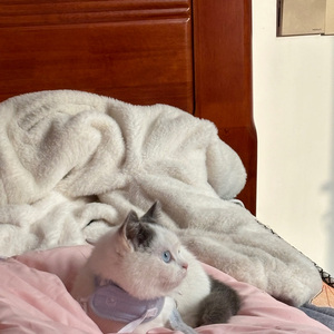 早点早点(Live)_啊肖