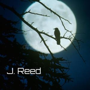 I Read Energy (Remix)