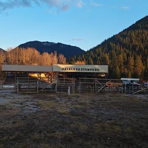 Giddy up my bae Mia-tunes