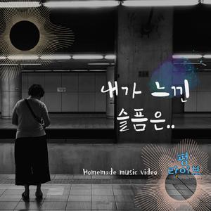 내가 느낀 슬픔은..