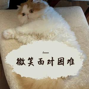 当月亮升起的时候