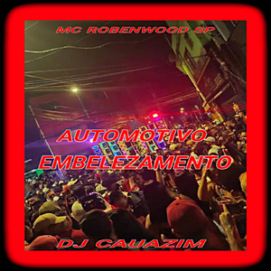 AUTOMOTIVO EMBELEZAMENTO