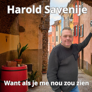 Want als je me nou zou zien