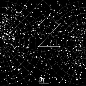 Looters Will Be Shot