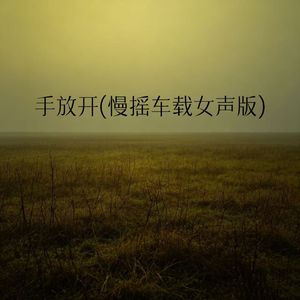 手放开(慢摇车载女声版)