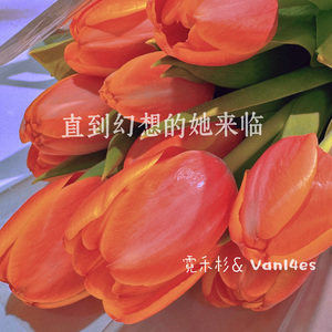 直到幻想的她来临