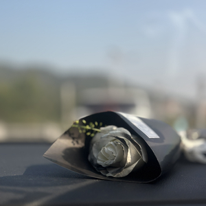 欭惗ฅ՞•ﻌ•՞ฅ