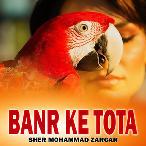 Patanr Te Beri