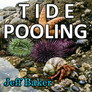 Tide Pooling