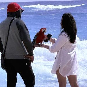 punta-cana-regatun--coupable