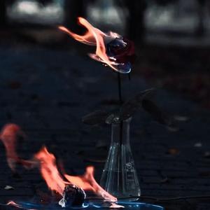 那艺娜-爱如火Remix