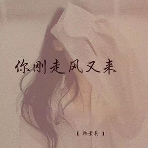 你刚走风又来 (弹唱版)