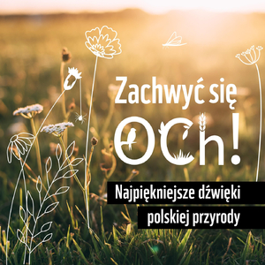 Pobudka Na Rozlewiskach (Live)