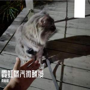 霓虹蒸汽微醺夜