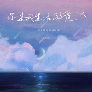 你是我生活的意义（당신은 내 삶의 의미입니다）