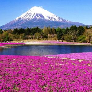 Hakikat Sebuah Cinta