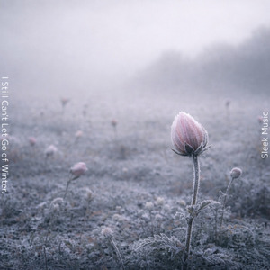 Grey Morning