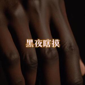 黑夜瞎摸