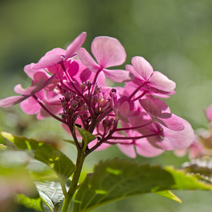 无杂音舒适 (优美轻音乐)