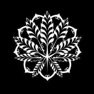 为什么来到意大利