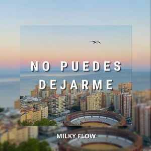 No Puedes Dejarme