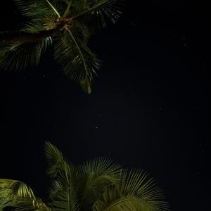 Sommernacht