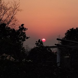 恨みは蜜（恨如蜜糖）