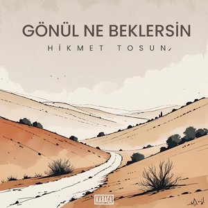 Gönül Ne Beklersin