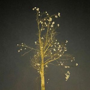 那些美好和珍惜的东西