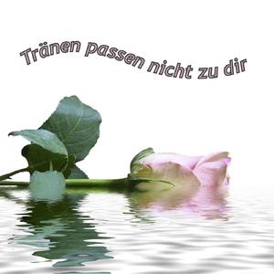 Tanz zum Abschied noch einmal mit mir