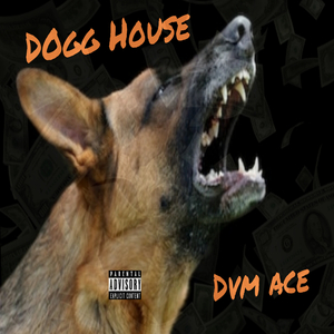 Dogg House