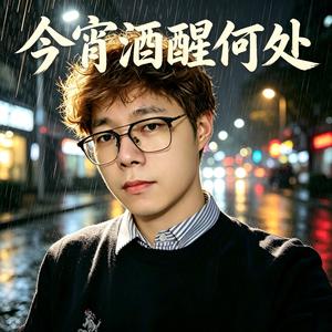 今宵酒醒何处（Remix版）