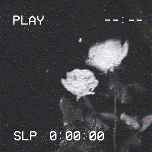 Nova Whitley (Slowed And Reverbed)