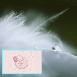 Sarasate:Miramar Op.42