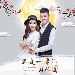 又是一年月儿圆 (DJ版)