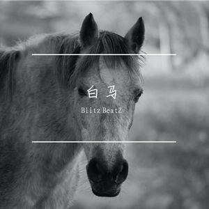 白马 - 吉他民谣Type Beat