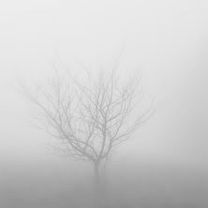 MIST (feat. 2hollis & Circleain)