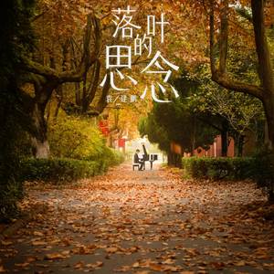 落叶的思念