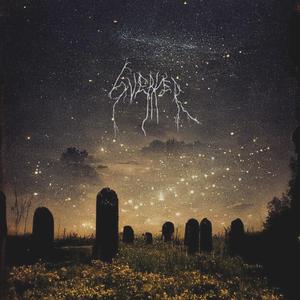 love dressed in nightfall