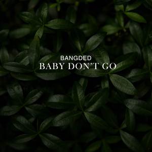 BABY DON'T GO (Instrumental)