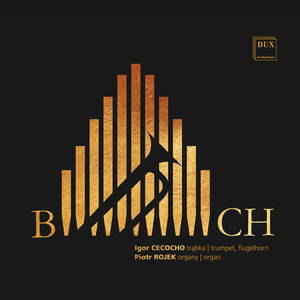 Arioso from Cantata BWV 156:Ich steh mit einem Fuß im Grabe, BWV 156: No. 1, Sinfonia (Arr. for Flugelhorn & Organ)