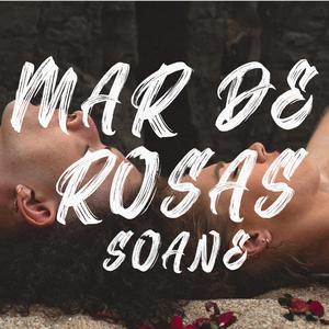 Mar de Rosas