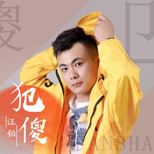 犯傻 (Dj枫叶版伴奏)