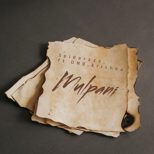Mulpani
