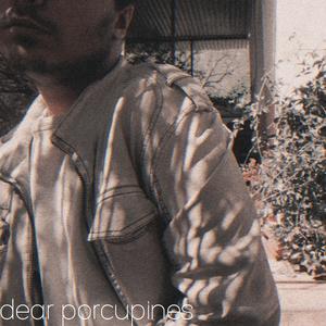 Dear Porcupines