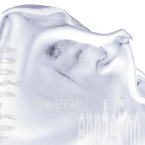 Wind Stray (feat. robowalker)