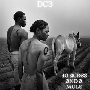 40 Acres And A Mule