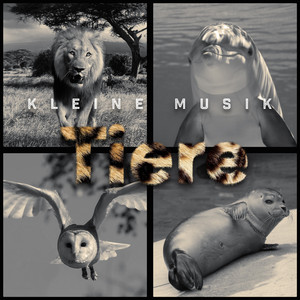 In der Steppe Afrikas