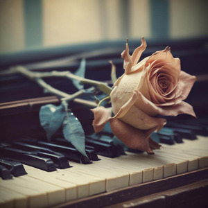 Cinta Yang Menghilang